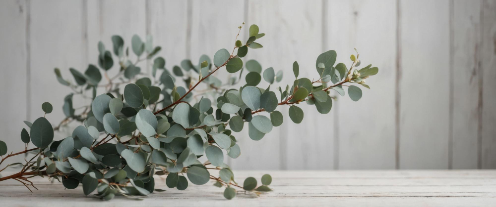 Ingredientes naturales más usados en ambientadores ecológicos