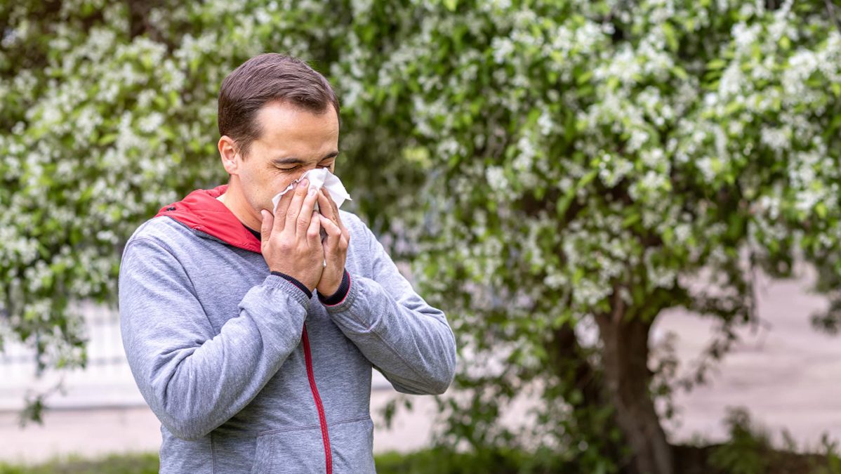 Ambientadores ecológicos en personas con alergias respiratorias