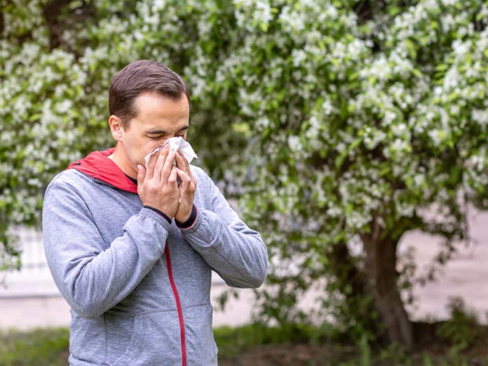 Ambientadores ecológicos en personas con alergias respiratorias
