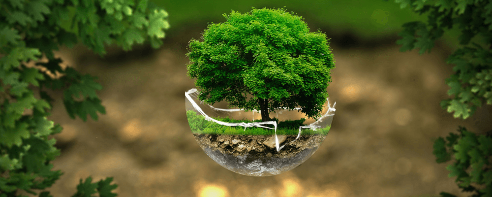 Cómo elegir el mejor ambientador ecológico según tu estilo de vida