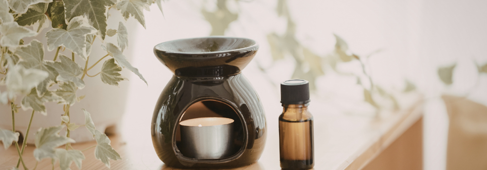 Ambientadores ecológicos