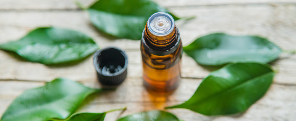 Cómo reciclar correctamente los envases de ambientadores ecológicos